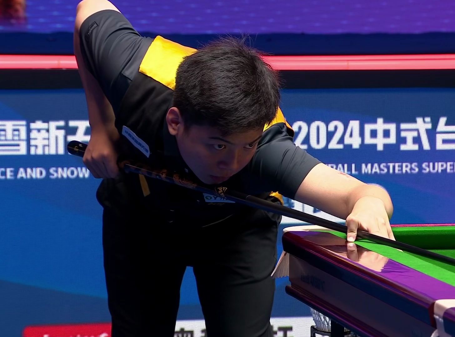 与主人互动 与主人互动