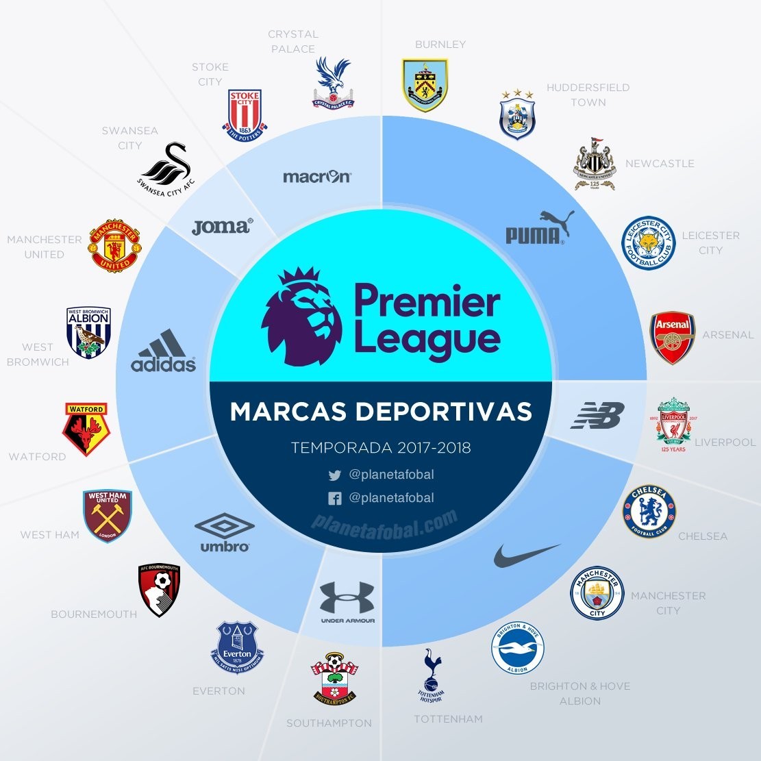 可爱的泰迪 可爱的泰迪